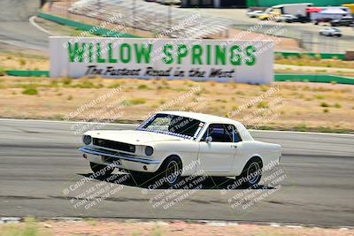 media/May-10-2025-Cobra Club (Sat) [[7b9c5022b1]]/Passenger/